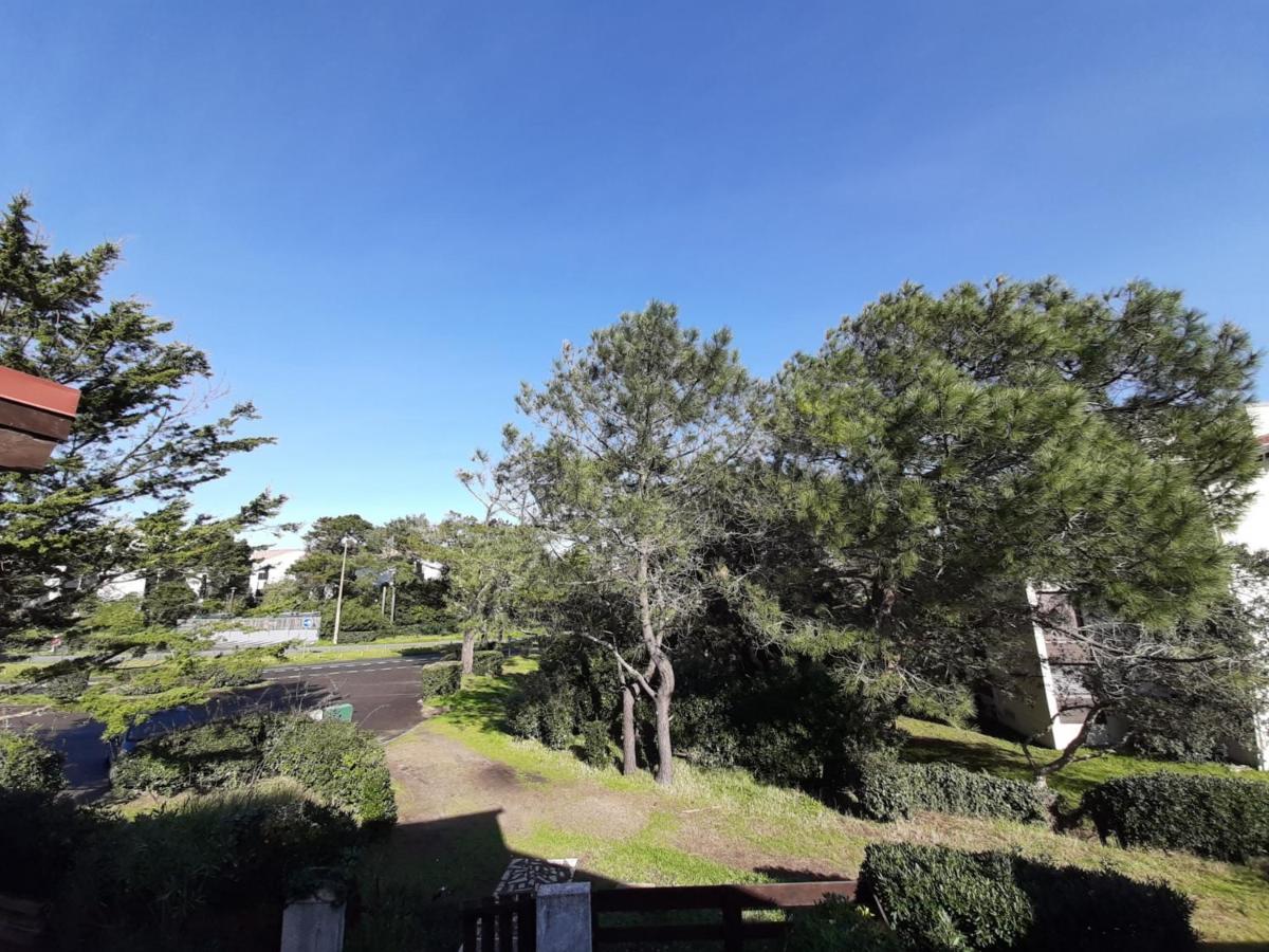 סניוס Maison Renovee Avec Terrasse A 700M Des Plages, Marche Et Activites - Tennis Et Piste Cyclable A 10M - Fr-1-239-385 מראה חיצוני תמונה