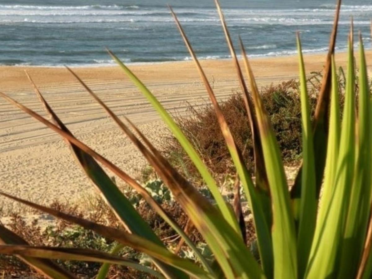 סניוס Maison Renovee Avec Terrasse A 700M Des Plages, Marche Et Activites - Tennis Et Piste Cyclable A 10M - Fr-1-239-385 מראה חיצוני תמונה