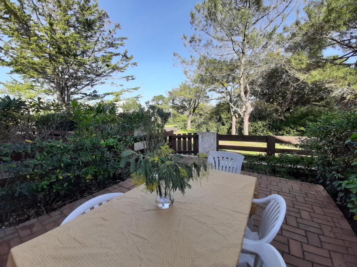 סניוס Maison Renovee Avec Terrasse A 700M Des Plages, Marche Et Activites - Tennis Et Piste Cyclable A 10M - Fr-1-239-385 מראה חיצוני תמונה